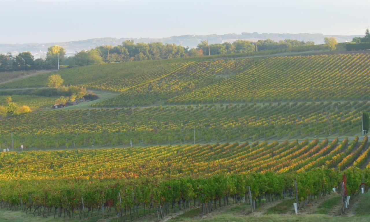 Romantic Gite Nr St Emilion With Private Pool And Views To Die For Pujols  Zewnętrze zdjęcie