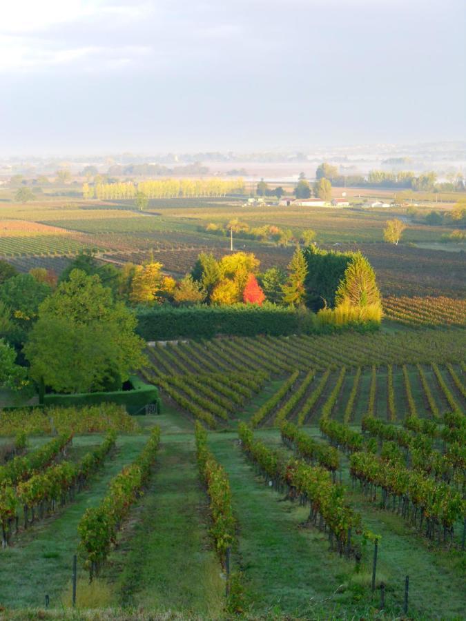 Romantic Gite Nr St Emilion With Private Pool And Views To Die For Pujols  Zewnętrze zdjęcie