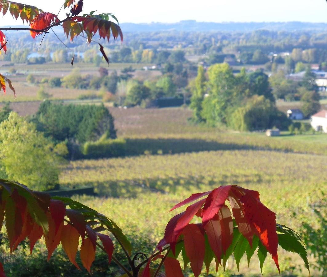 Romantic Gite Nr St Emilion With Private Pool And Views To Die For Pujols  Zewnętrze zdjęcie